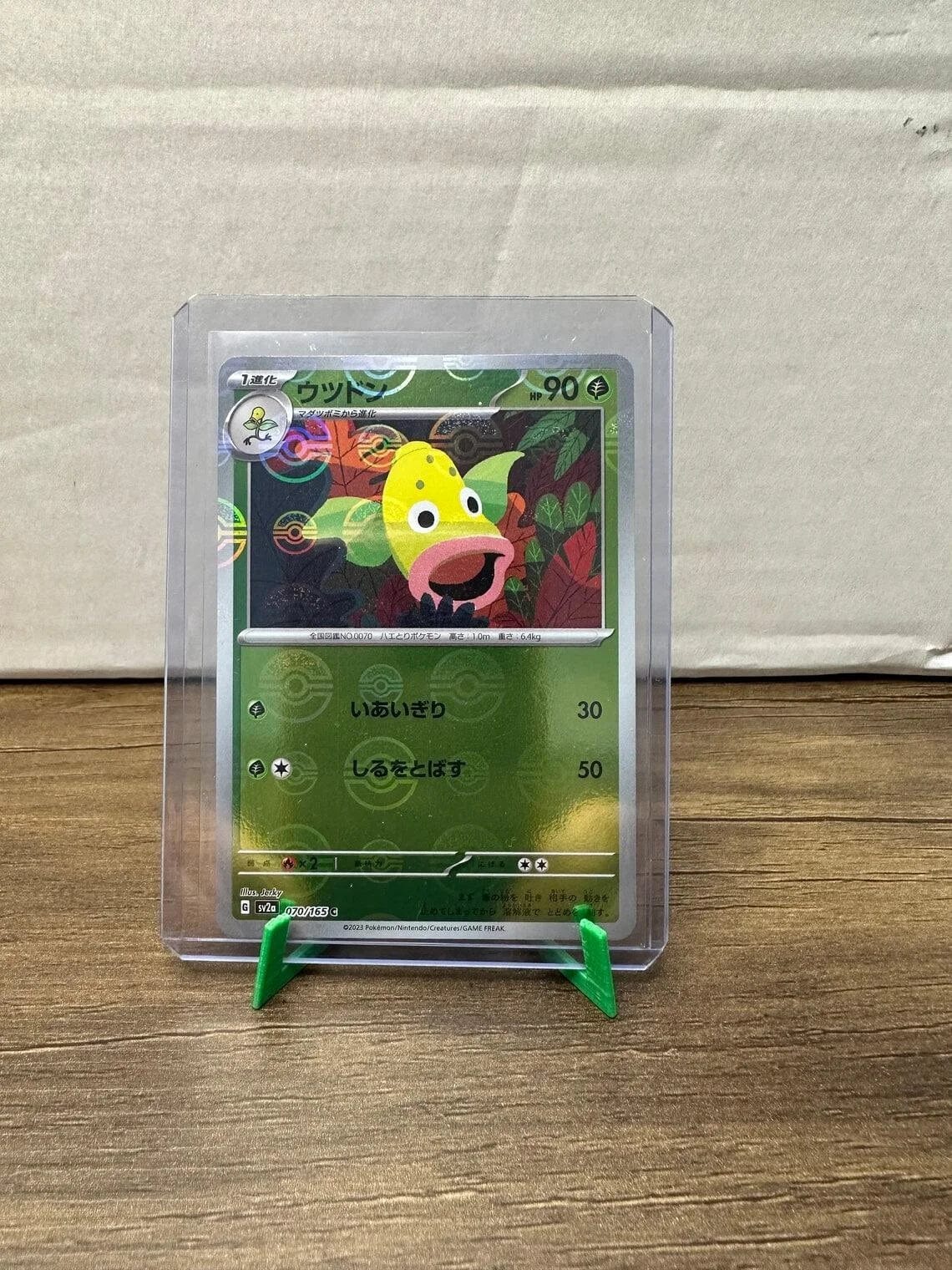 Pokémon Card Display Stands (5 PACK), Ideal for all types of cards, Including Graded