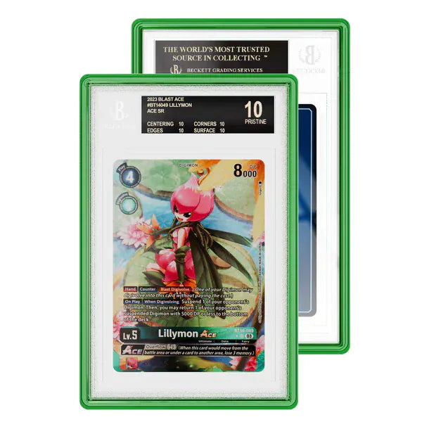 Graded Guard - BGS - Jewel Colours - UK Stock