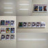 25cm Wall Mounted Trading Card Display Shelf